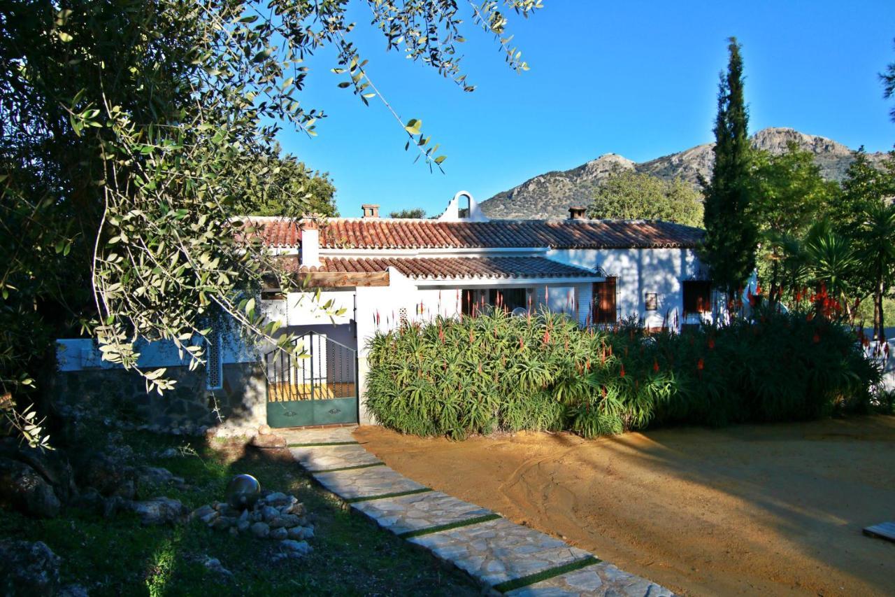 Casas Rurales Los Algarrobales El Gastor Exterior photo