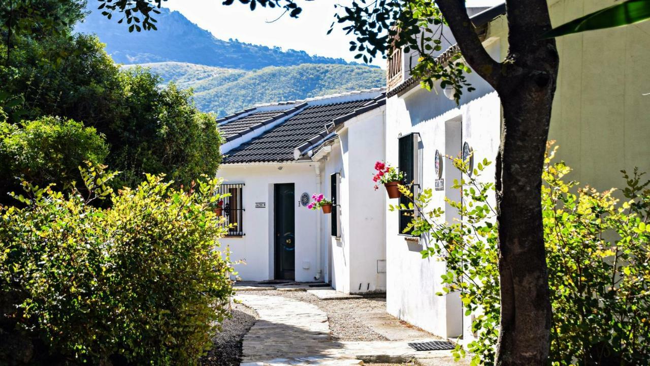 Casas Rurales Los Algarrobales El Gastor Exterior photo